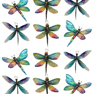 Watercolor Dragonflies - Ceramic Decals- Enamel Decal - Fusible Decal - Glass Fusing Decal ~ Waterslide Decal - 33312