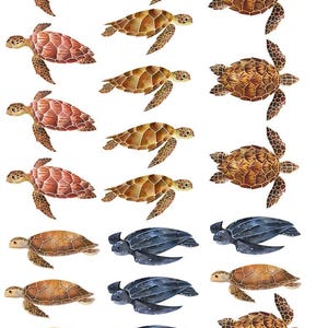 May include: A selection of watercolour illustrations of sea turtles in shades of brown, red, and blue. The turtles have detailed shell patterns and flippers, set against a white background. The turtles are in various poses.