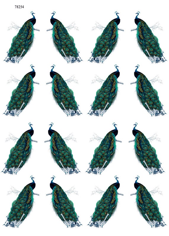 Bird decals sale