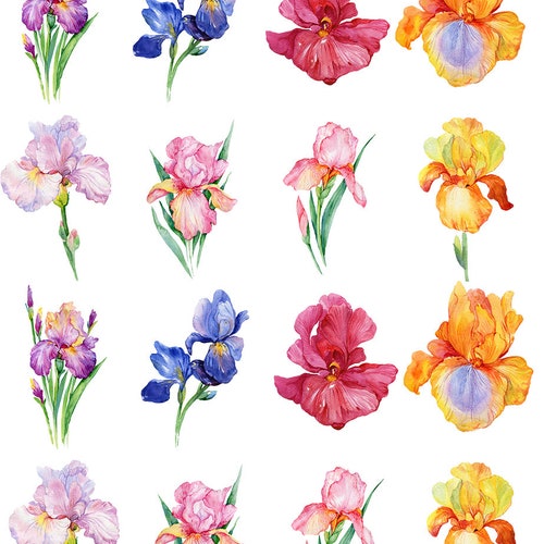 Iris Flowers Ceramic Decals Enamel Decal Fusible Decal Etsy
