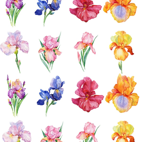 Iris Flowers - Stickers céramique - Sticker émail - Sticker thermocollant - Sticker pour fusion de verre ~ Sticker pour toboggan aquatique - 46225
