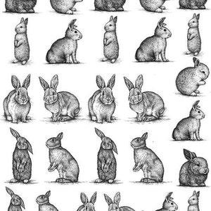 May include: A black and white line drawing illustration of 25 rabbits in various poses. The rabbits are drawn in a realistic style with detailed fur and whiskers.
