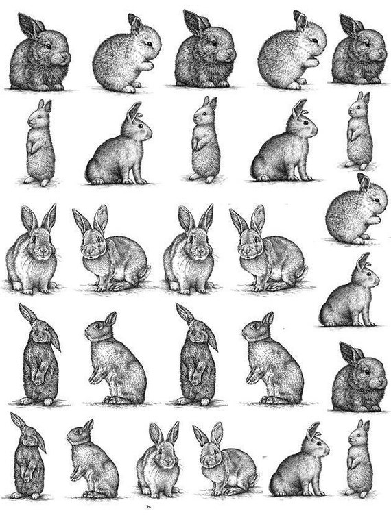 Peter Rabbit Bunny Easter Ceramic Decals Enamel Decal Fusible