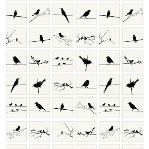 Ten and Twenty Black Birds - Ceramic Decals- Enamel Decal - Fusible Decal - Glass Fusing Decal ~ Waterslide Decal - 99276