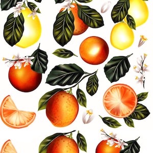 May include: A digital illustration of oranges and lemons with green leaves and white blossoms. The image includes whole fruits, slices, and a cross-section of an orange, set against a white background. The fruits are vibrant orange and yellow.