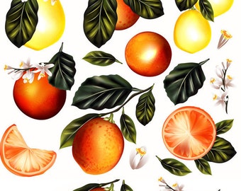 Citrus Oranges and Lemons - Ceramic Decals- Enamel Decal - Fusible Decal - Glass Fusing Decal ~ Waterslide Decal - 55638