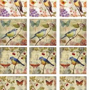 Beautiful Bird Set- Ceramic Decals- Enamel Decal - Fusible Decal - Glass Fusing Decal ~ Waterslide Decal - 22576