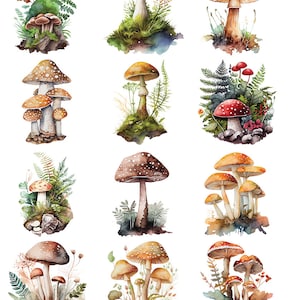 Watercolor Forest Mushrooms - Flowers -  Ceramic Decals- Enamel Decal - Fusible Decal - Glass Fusing Decal ~ Waterslide Decal -49222