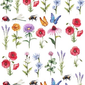 May include: A selection of watercolour illustrations showcasing diverse flowers, butterflies, bees, ladybirds, and dragonflies. The flowers include red poppies, purple lavender, and other colourful blooms. The insects are depicted in detail, with vibrant colours and delicate wings.