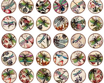 Dragonflies Circles Bottle Caps - Ceramic Decals- Enamel Decal  - Glass Decal- 88292