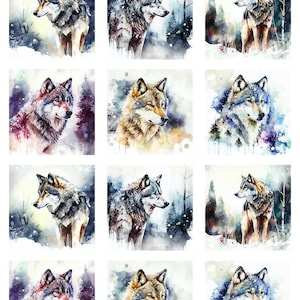 May include: A sheet of nine square watercolor images of wolves in a winter forest setting. Each wolf is depicted in shades of gray, brown, and white, with a snowy background and trees. The top left corner of the sheet has the number "63009".