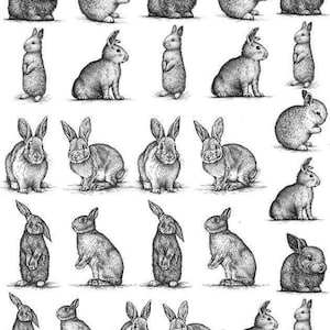 May include: A black and white illustration featuring multiple drawings of rabbits in various poses. The rabbits are depicted in different sizes and positions, showcasing their fluffy fur and long ears. The artwork has a detailed, sketched style.