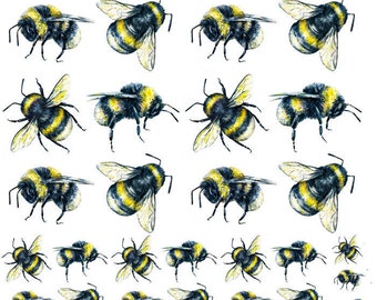 Black and Yellow Bees - Ceramic Decals- Enamel Decal - Fusible Decal - Glass Fusing Decal ~ Waterslide Decal - 59724
