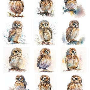 May include: A sheet of watercolour owl stickers. Each sticker depicts a detailed illustration of a small owl in shades of brown, tan, and white. Some owls perch on branches, while others stand alone. The text "79871" is in the upper left corner.
