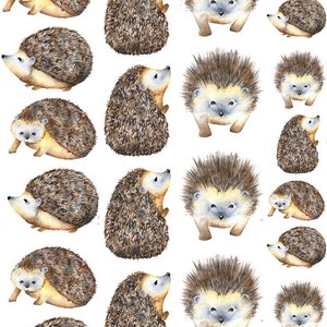 Watercolor Hedgehog Animals - Ceramic Decals- Enamel Decal - Fusible Decal - Glass Fusing Decal ~ Waterslide Decal - 55666
