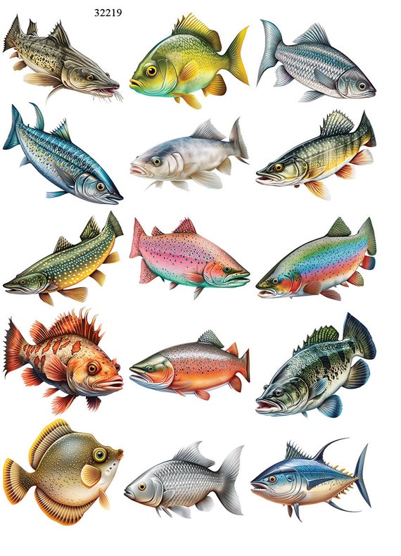 Lots and Lots of Fish Ceramic Decals Enamel Decal Fusible Decal