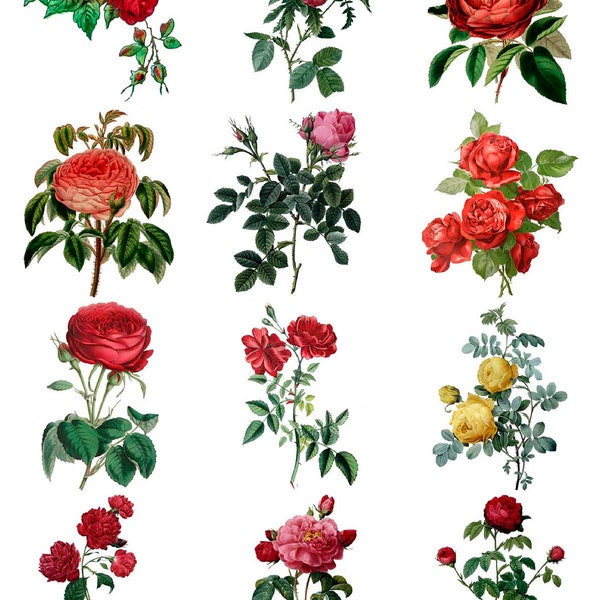 Vintage Roses -  Ceramic Decals- Enamel Decal - Fusible Decal - Glass Fusing Decal ~ Waterslide Decal - 78712