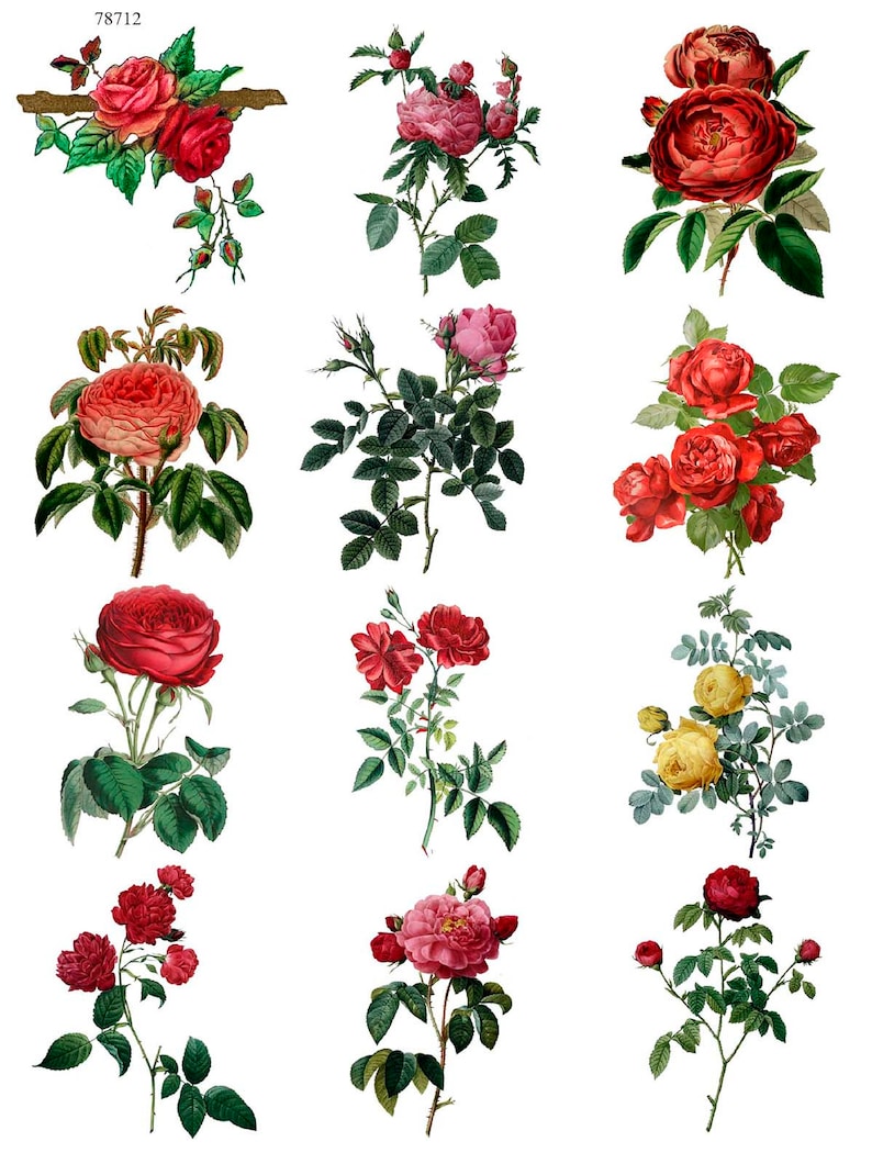 Vintage Roses Ceramic Decals Enamel Decal Fusible Decal Etsy