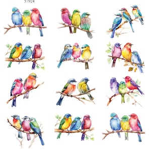 Colorful Birds on a Branch - Ceramic Decals- Enamel Decal - Fusible Decal - Glass Fusing Decal ~ Waterslide Decal - 57924