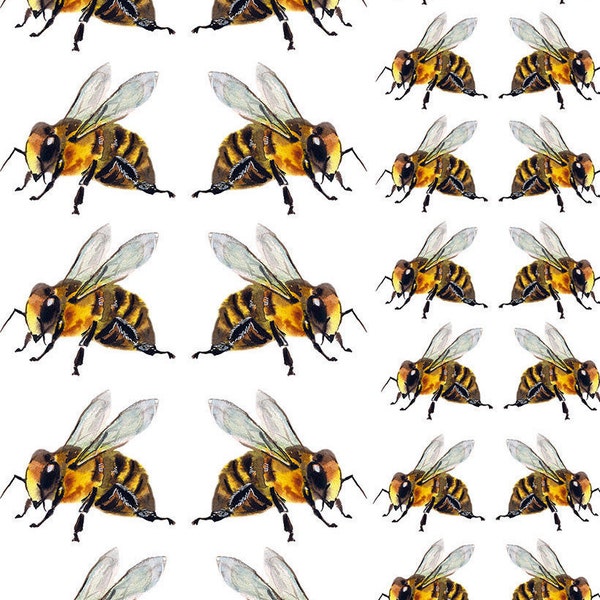 Just Big Fat Bees - Ceramic Decals- Enamel Decal - Fusible Decal - Glass Fusing Decal ~ Waterslide Decal - 85135