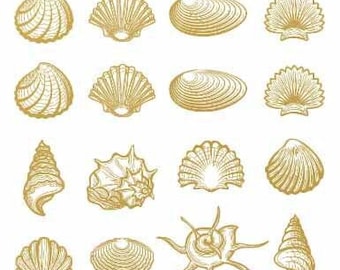 May include: A selection of golden seashell illustrations on a white backdrop. The image showcases detailed drawings of various shell types, including spiral, fan, and oval shapes, ideal for coastal-themed designs.
