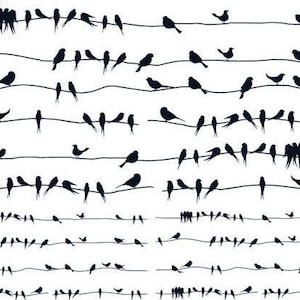 May include: A black and white illustration of many birds perched on a series of power lines. The birds are all facing the same direction and are arranged in a symmetrical pattern.