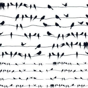 Könnte beinhalten: Schwarz-Weiß-Illustration mit zahlreichen Vogelsilhouetten, die auf horizontalen Linien sitzen, ähnlich wie Telefonleitungen. Die Vögel variieren in Größe und Pose und erzeugen ein dynamisches Muster. Das Kunstwerk hat eine minimalistische Ästhetik.