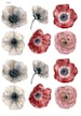 Poppies  - Ceramic Decals- Enamel Decal - Fusible Decal - Glass Fusing Decal ~ Waterslide Decal - 62917 