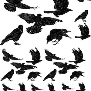 Ravens Crows - Ceramic Decals- Enamel Decal  - Glass Decal- 49713
