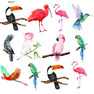 Exotic Tropical Birds - Ceramic Decals- Enamel Decal - Fusible Decal - Glass Fusing Decal ~ Waterslide Decal - 59117