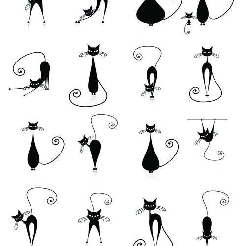 Haeckel Art Ceramic Decals Enamel Decal Fusible Decal Etsy