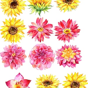 Summertime Flowers -  Ceramic Decals- Enamel Decal - Fusible Decal - Glass Fusing Decal ~ Waterslide Decal - 88724