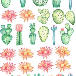 Flowering Watercolor Cactus & Succulents - Ceramic Decals- Enamel Decal - Fusible Decal - Glass Fusing Decal ~ Waterslide Decal - 89286