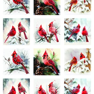 Christmas Cardinal - Ceramic Decals- Enamel Decal  - Glass Decal- 62419