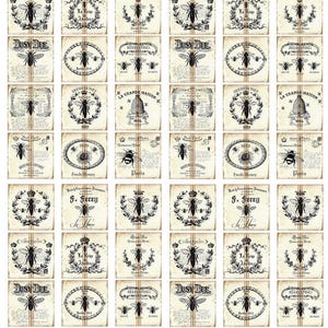 May include: A collection of vintage-style square cards with bee-themed designs. The cards have a cream background with black illustrations of bees, crowns, and floral wreaths. Text includes "Busy Bee" and "Fresh Honey". The overall aesthetic is antique.