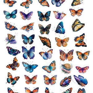 May include: A collection of colorful butterfly stickers in various sizes and designs. The butterflies feature a range of colors, including orange, blue, purple, and yellow, with detailed wing patterns. The stickers are arranged on a white background.