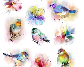 Watercolor Birds and Flowers -  Ceramic Decals- Enamel Decal - Fusible Decal - Glass Fusing Decal ~ Waterslide Decal - 89951