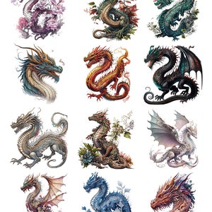 Oriental Dragons - Ceramic Decals- Enamel Decal - Fusible Decal - Glass Fusing Decal ~ Waterslide Decal - 34977