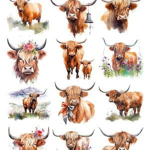 May include: A sheet of watercolor-style Highland cow illustrations. The cows are depicted in various poses, some with floral accents, and one with a bell. The color palette includes shades of brown, orange, and touches of green and purple.