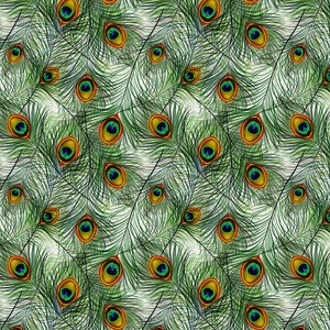 Beautiful Peacock Feathers - Ceramic Decals- Enamel Decal - Fusible Decal - Glass Fusing Decal ~ Waterslide Decal - 22771
