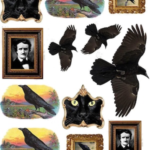 May include: A collage featuring images of black cats, ravens, and portraits in ornate gold frames. The ravens are perched on branches or in flight, set against a landscape. One portrait is of a man with a bow tie.