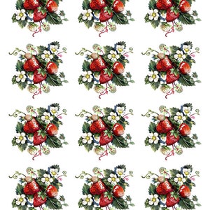 Super Fabulous Strawberries - Ceramic Decals- Enamel Decal - Fusible Decal - Glass Fusing Decal ~ Waterslide Decal - 95012