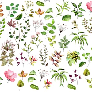 Botanical Flowers and Leaves - Ceramic Decals- Enamel Decal  - Glass Decal- 77998