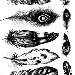 May include: A collection of black and white feather illustrations. The feathers vary in size and design, with detailed patterns and textures. Some feathers have spotted or striped patterns, while others have a more delicate, wispy appearance.
