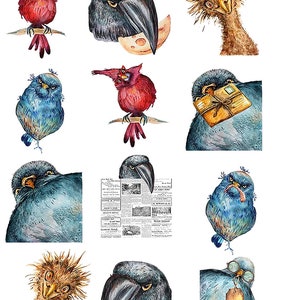 Funny Birds - Ceramic Decals- Enamel Decal - Fusible Decal - Glass Fusing Decal ~ Waterslide Decal - 39175