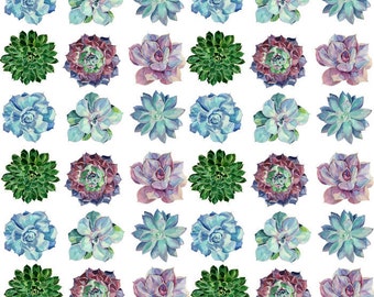 Watercolor Succulents - Ceramic Decals- Enamel Decal - Fusible Decal - Glass Fusing Decal ~ Waterslide Decal - 44576