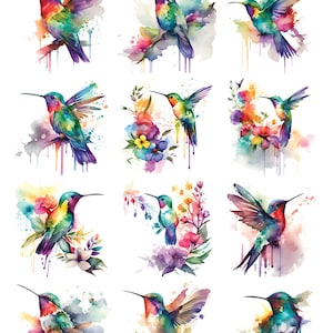 Colorful Hummingbirds -  Ceramic Decals- Enamel Decal - Fusible Decal - Glass Fusing Decal ~ Waterslide Decal - 97112