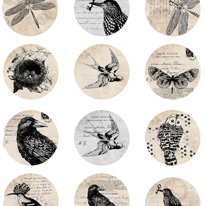 Antique Decorative Round Circles -  Ceramic Decals- Enamel Decal  - Glass Fusing Decal ~ Waterslide Decal - 77912