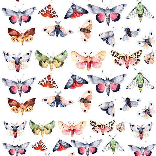 Colorful Moths Butterflies - Ceramic Decals- Enamel Decal - Fusible Decal - Glass Fusing Decal ~ Waterslide Decal - 48398