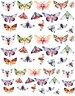 Colorful Moths Butterflies - Ceramic Decals- Enamel Decal - Fusible Decal - Glass Fusing Decal ~ Waterslide Decal - 48398 